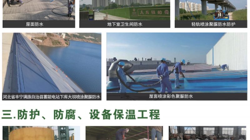 目前市场上常见的卫生间防水材料主要有以下几种：